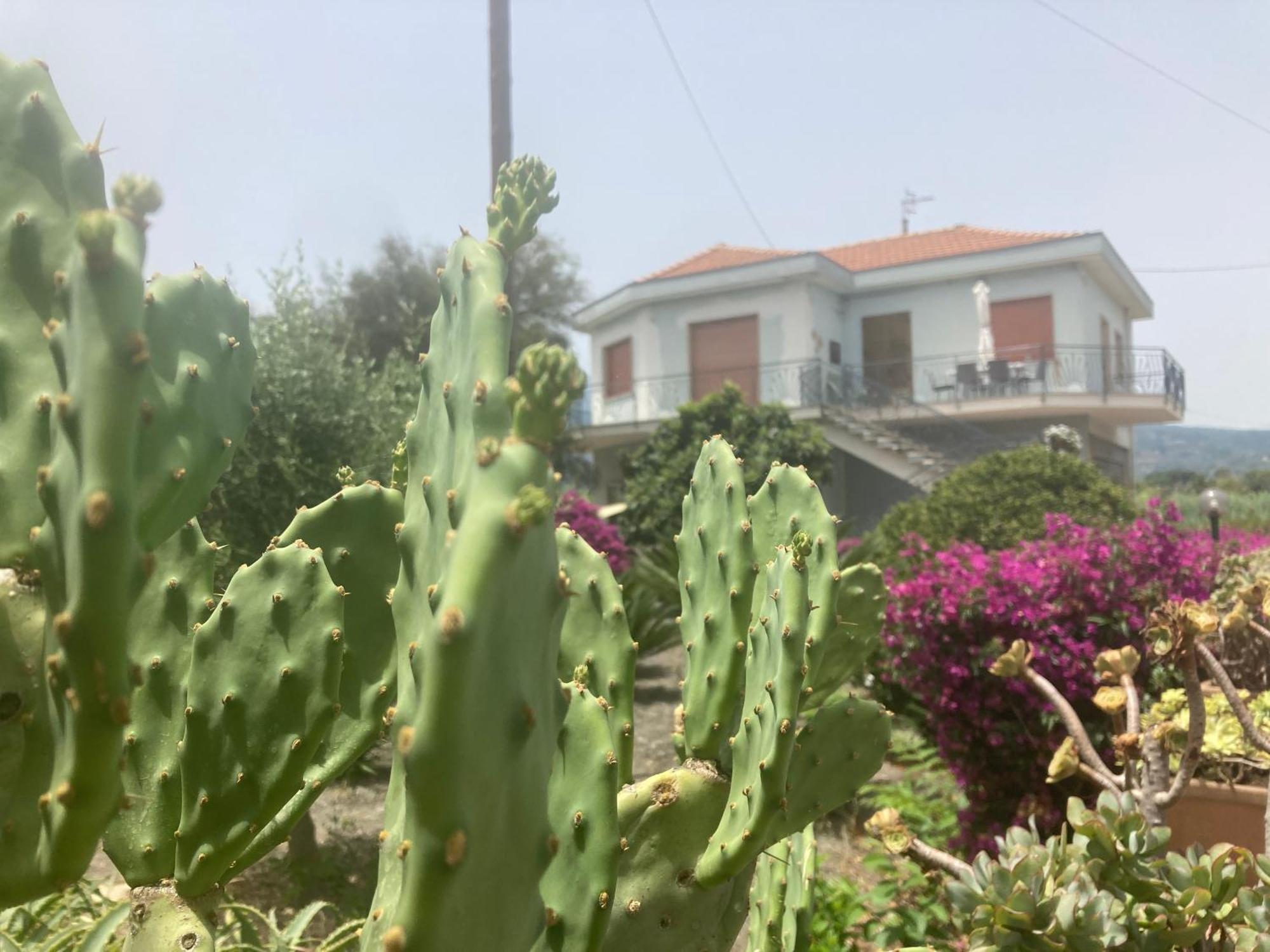 Villa Con Piscina Esclusiva Vista Etna Mascali Exterior foto